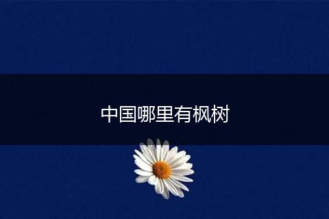 中国哪里有枫树