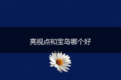 亮视点和宝岛哪个好