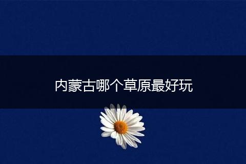 内蒙古哪个草原最好玩