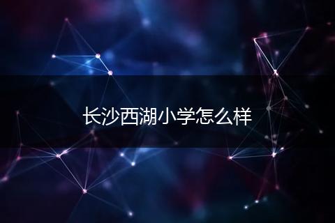 长沙西湖小学怎么样