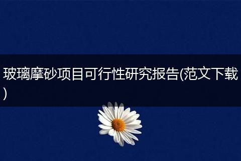 玻璃摩砂项目可行性研究报告(范文下载)