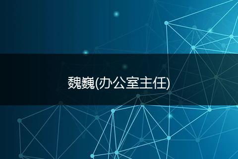 魏巍(办公室主任)