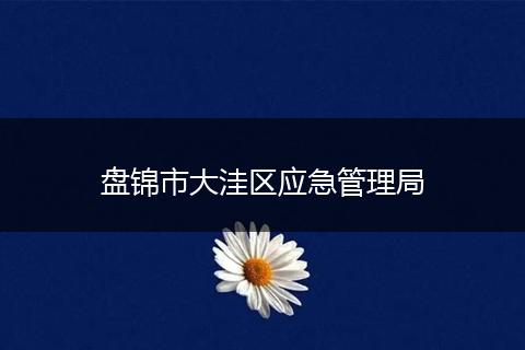 盘锦市大洼区应急管理局