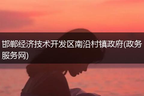 邯郸经济技术开发区南沿村镇政府(政务服务网)