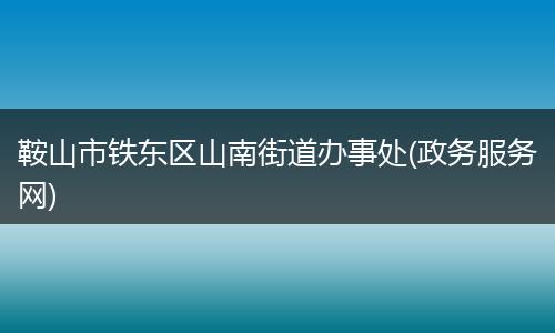 鞍山市铁东区山南街道办事处(政务服务网)