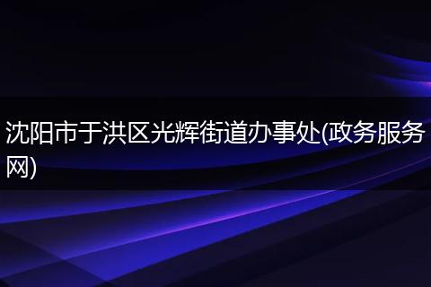 沈阳市于洪区光辉街道办事处(政务服务网)