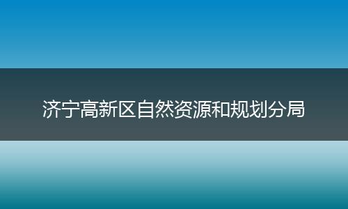 济宁高新区自然资源和规划分局