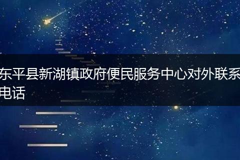 东平县新湖镇政府便民服务中心对外联系电话