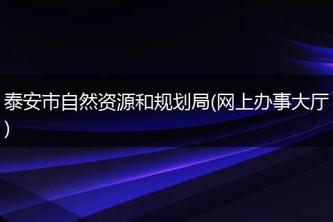 泰安市自然资源和规划局(网上办事大厅)
