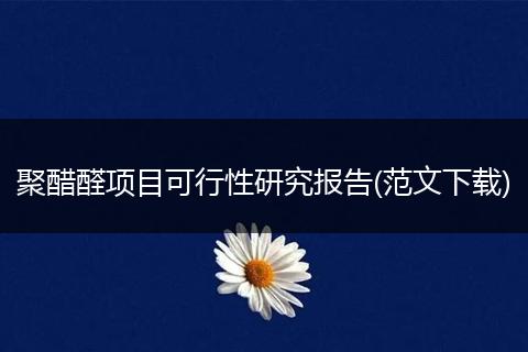 聚醋醛项目可行性研究报告(范文下载)