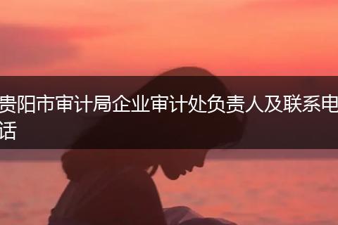 贵阳市审计局企业审计处负责人及联系电话