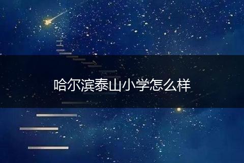 哈尔滨泰山小学怎么样