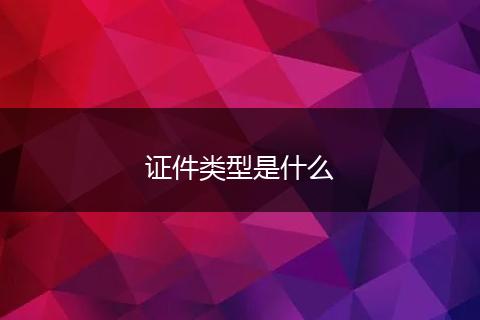 证件类型是什么