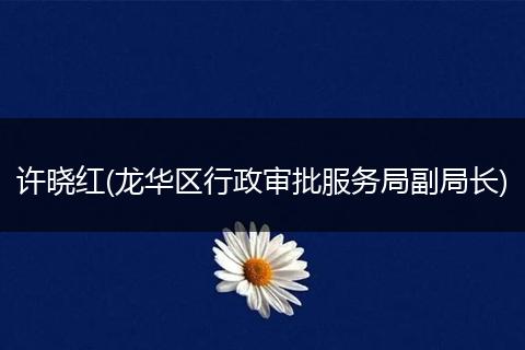 许晓红(龙华区行政审批服务局副局长)