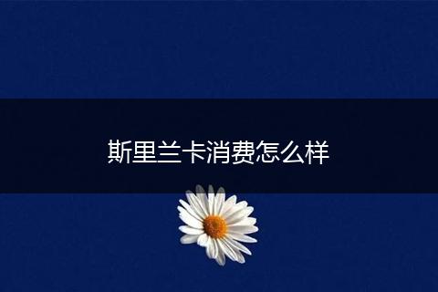 斯里兰卡消费怎么样