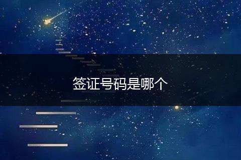 签证号码是哪个