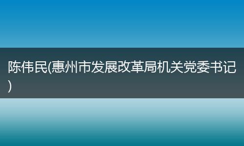陈伟民(惠州市发展改革局机关党委书记)