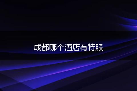成都哪个酒店有特服