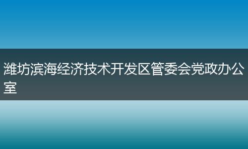 潍坊滨海经济技术开发区管委会党政办公室