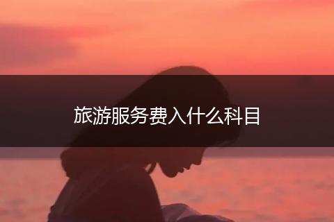 旅游服务费入什么科目
