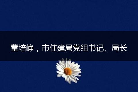 董培峥，市住建局党组书记、局长