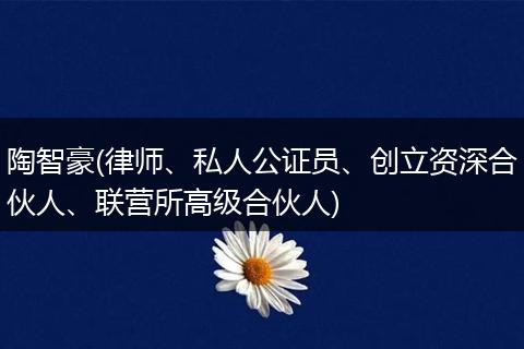 陶智豪(律师、私人公证员、创立资深合伙人、联营所高级合伙人)