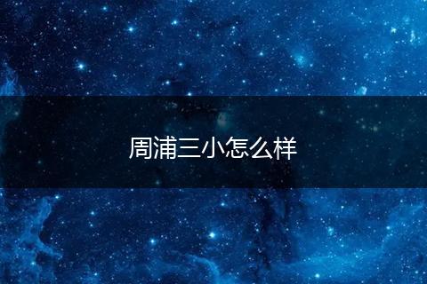 周浦三小怎么样