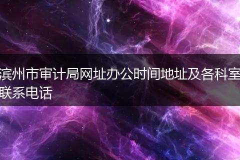 滨州市审计局网址办公时间地址及各科室联系电话