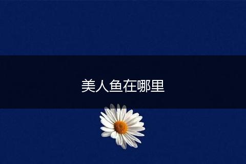 美人鱼在哪里