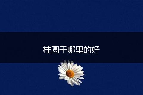 桂圆干哪里的好