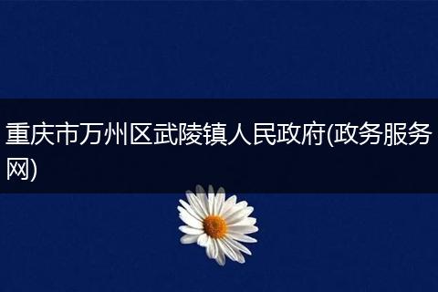 重庆市万州区武陵镇人民政府(政务服务网)