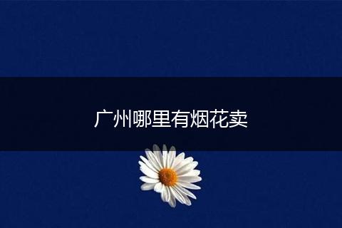广州哪里有烟花卖