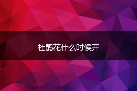 杜鹃花什么时候开