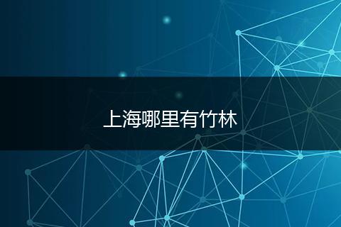 上海哪里有竹林