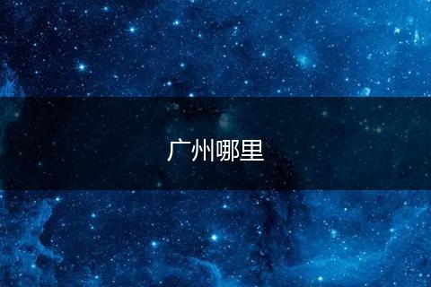 广州哪里