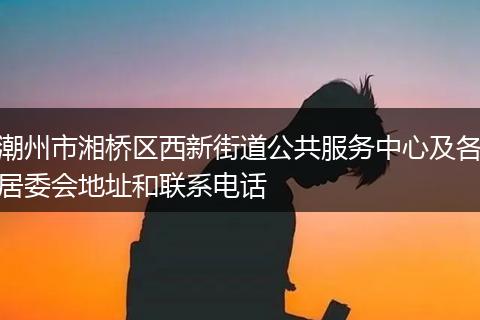 潮州市湘桥区西新街道公共服务中心及各居委会地址和联系电话