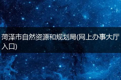菏泽市自然资源和规划局(网上办事大厅入口)