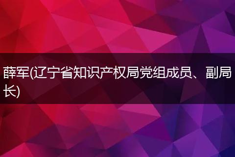 薛军(辽宁省知识产权局党组成员、副局长)