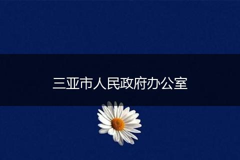 三亚市人民政府办公室