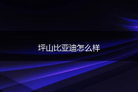 坪山比亚迪怎么样