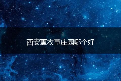 西安薰衣草庄园哪个好