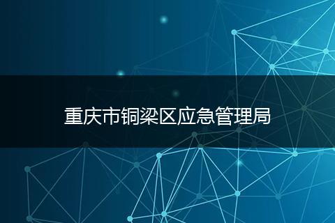 重庆市铜梁区应急管理局