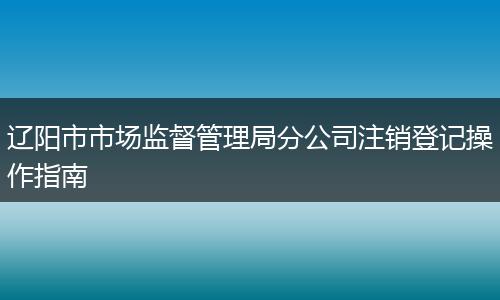 辽阳市市场监督管理局分公司注销登记操作指南