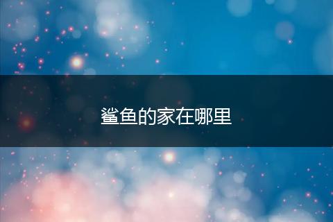 鲨鱼的家在哪里