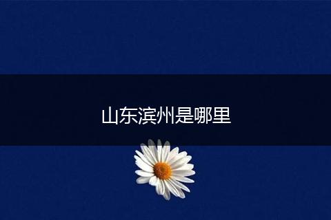 山东滨州是哪里