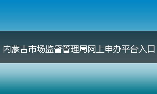 内蒙古市场监督管理局网上申办平台入口