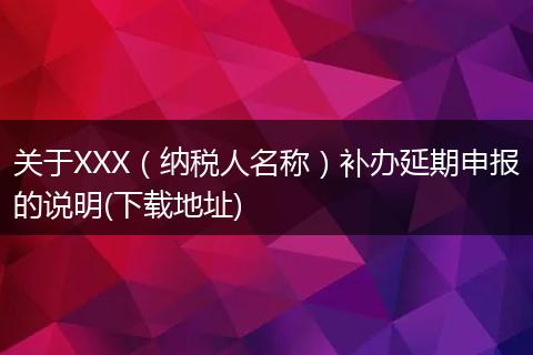 关于XXX（纳税人名称）补办延期申报的说明(下载地址)