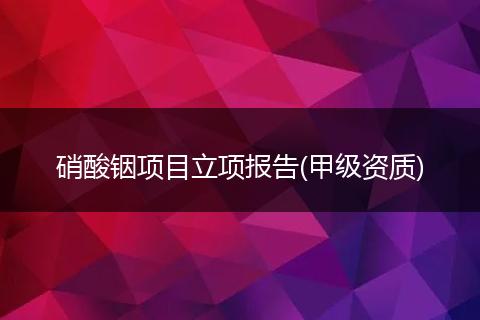 硝酸铟项目立项报告(甲级资质)
