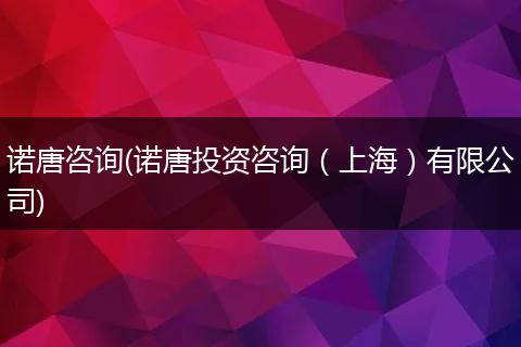 诺唐咨询(诺唐投资咨询（上海）有限公司)