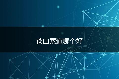 苍山索道哪个好